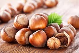 فندق
